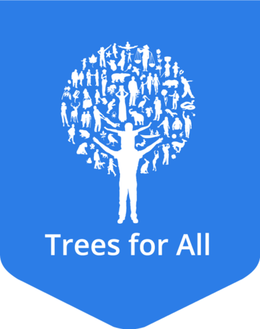 Trees for All - Store Your Toys